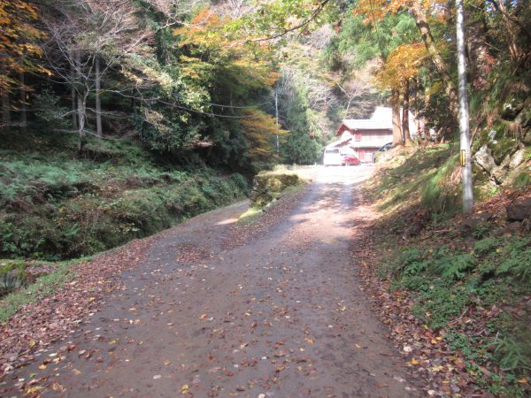 林道
